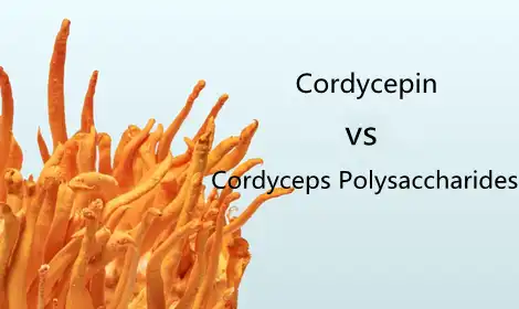 Cordycepin vs. Cordyceps Polysaccharides: Comparing Bioactive Compounds